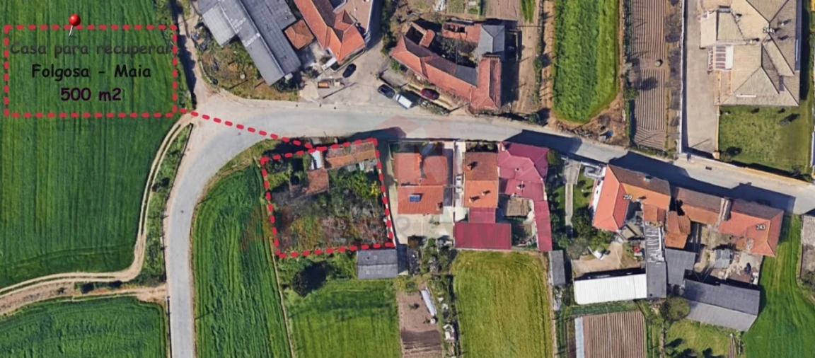 Terreno para Venda em Folgosa Foto 3