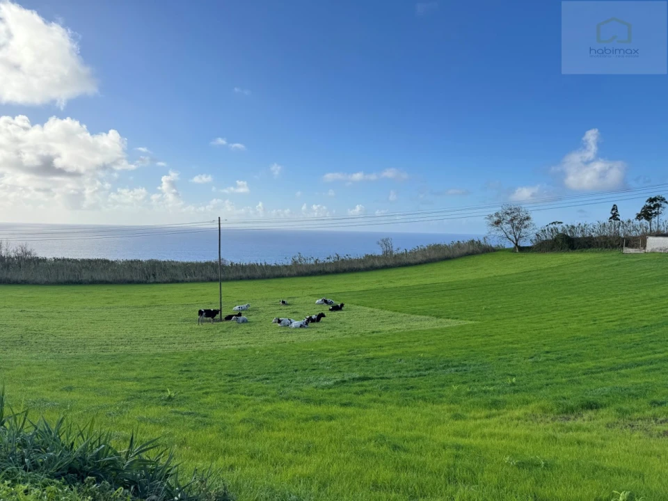 Terreno para Venda em Relva Foto 8