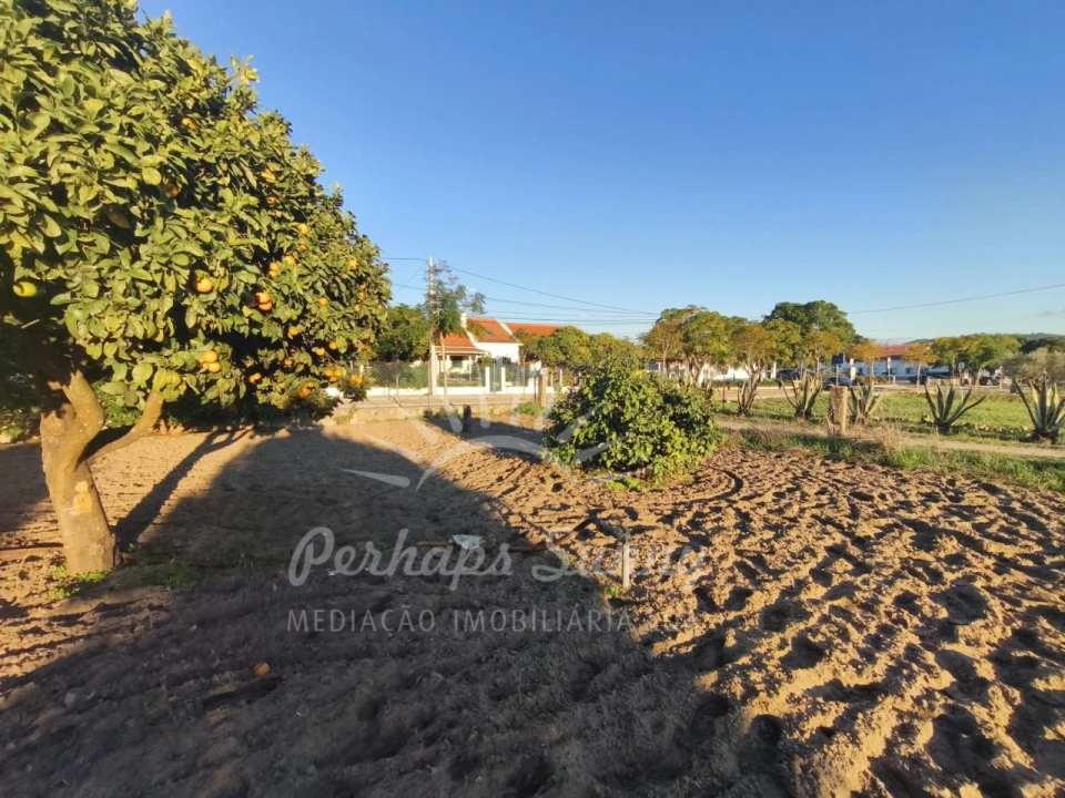 Moradia T3 para Venda em Melides Foto 2