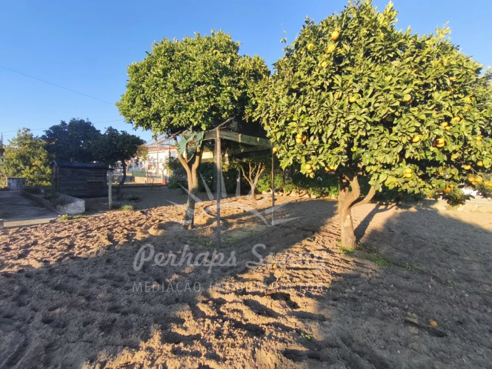 Moradia T3 para Venda em Melides Foto 3