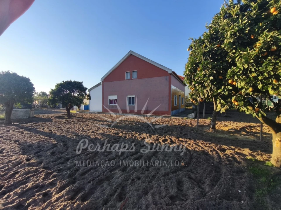 Moradia T3 para Venda em Melides Foto 6