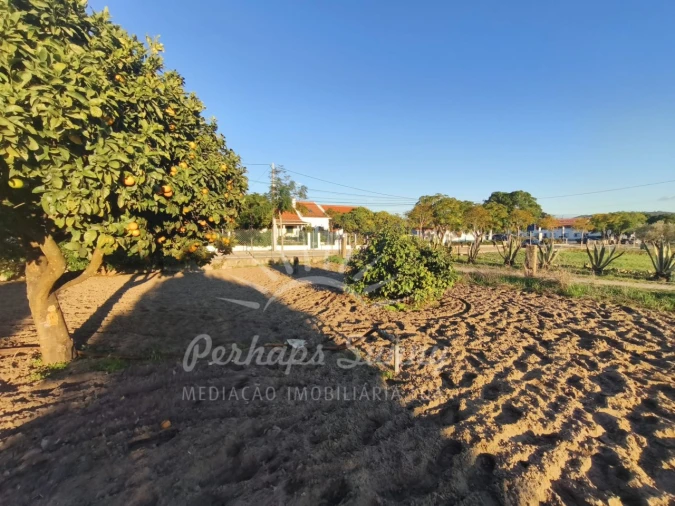 Moradia T3 para Venda em Melides Foto 2