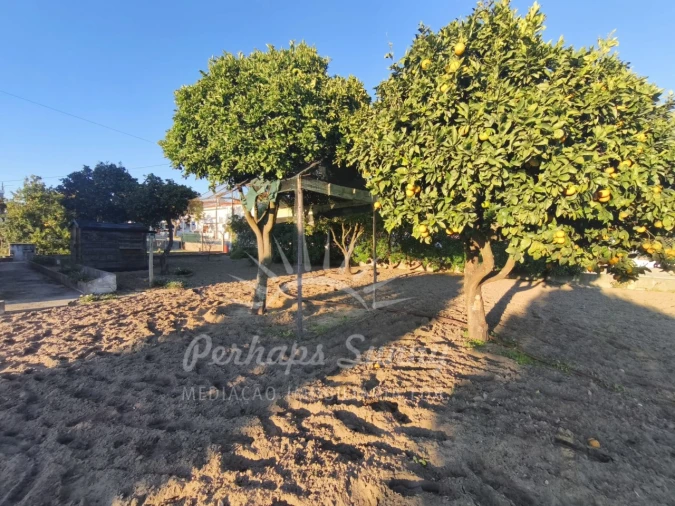 Moradia T3 para Venda em Melides Foto 3