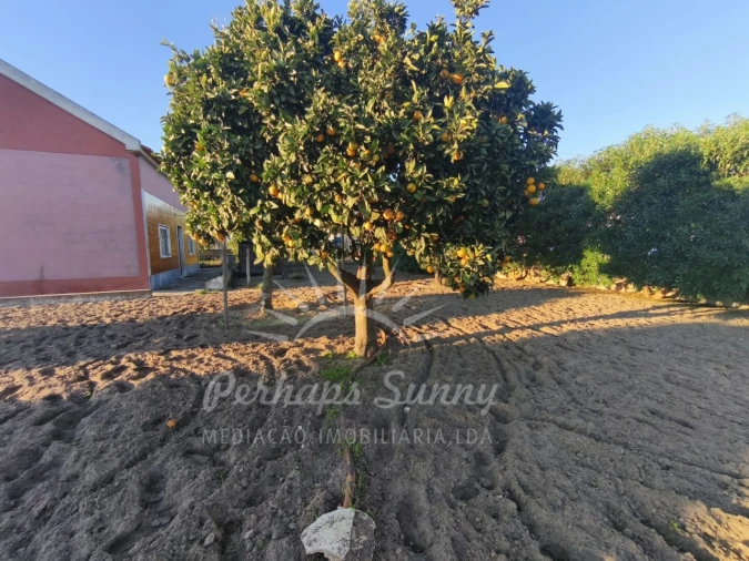 Moradia T3 para Venda em Melides Foto 4