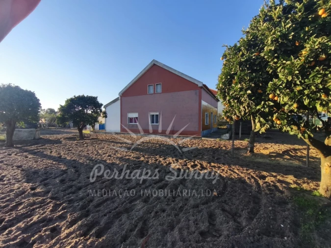 Moradia T3 para Venda em Melides Foto 6