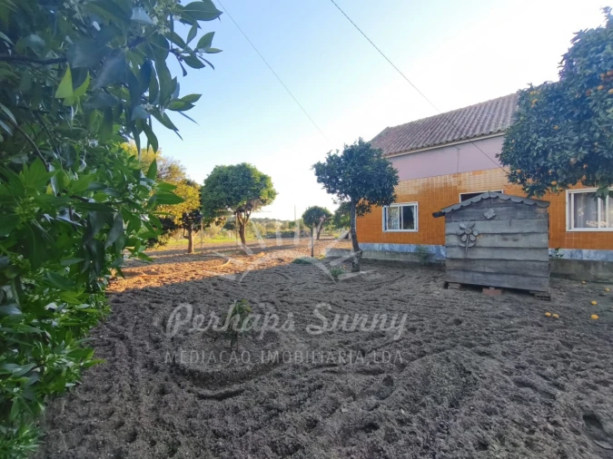 Moradia T3 para Venda em Melides Foto 9