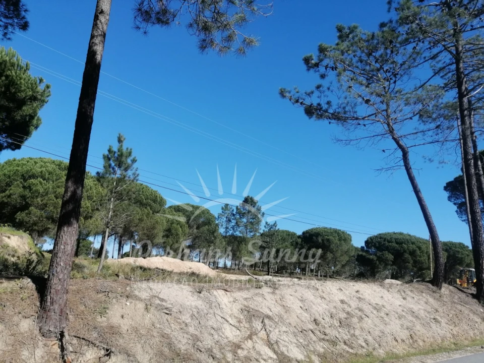 Terreno para Venda em Melides Foto 4
