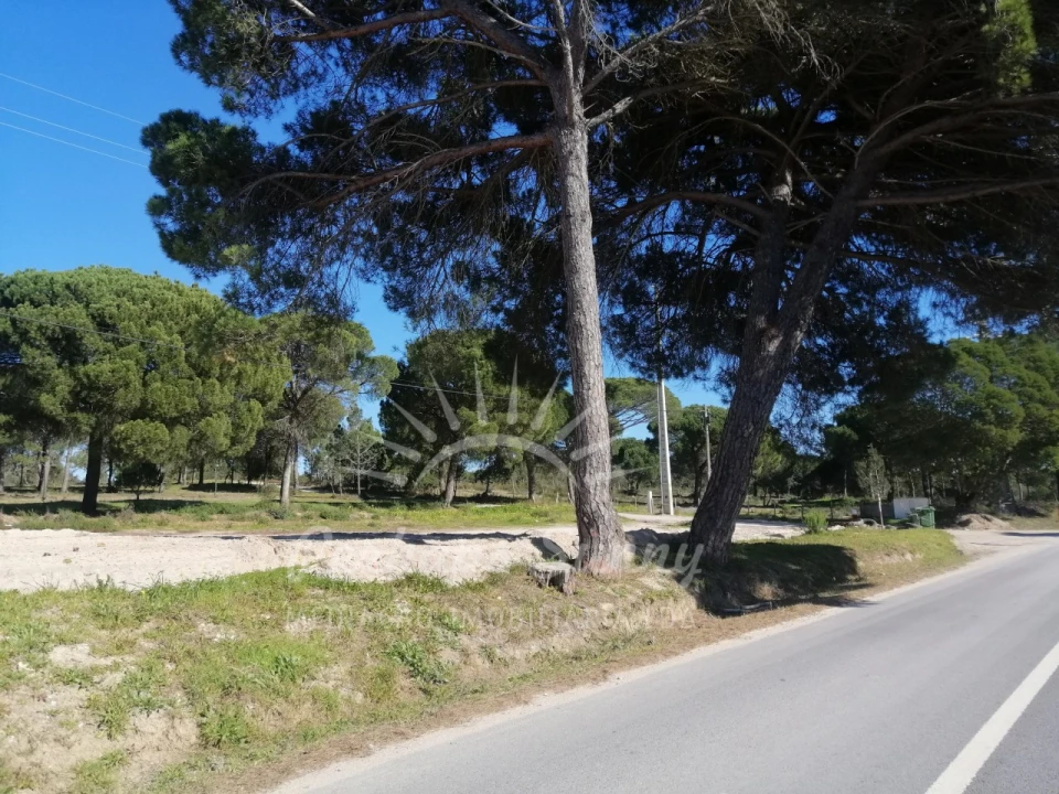Terreno para Venda em Melides Foto 7
