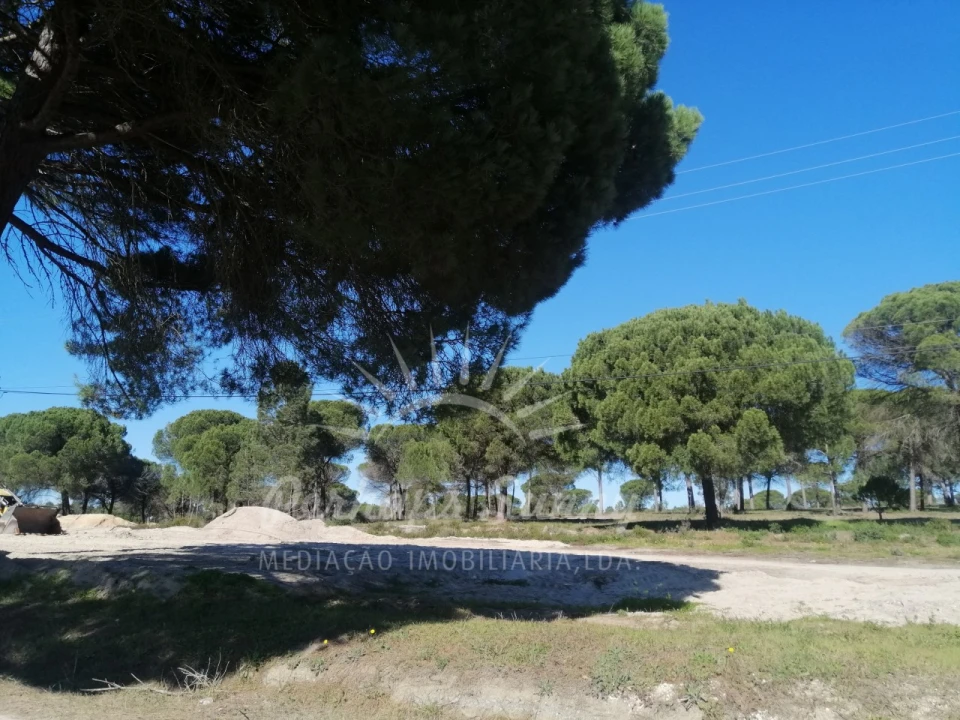 Terreno para Venda em Melides Foto 9