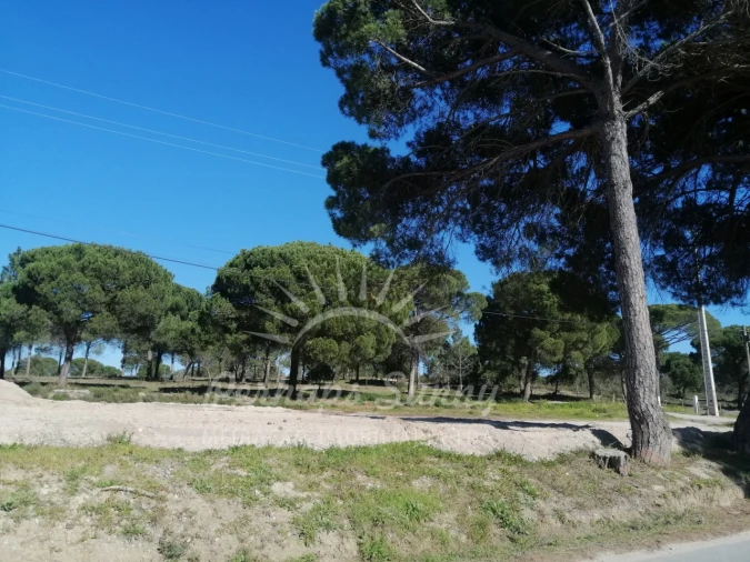 Terreno para Venda em Melides Foto 5