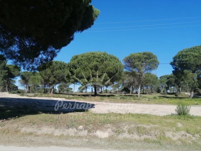 Terreno para Venda em Melides Foto 8