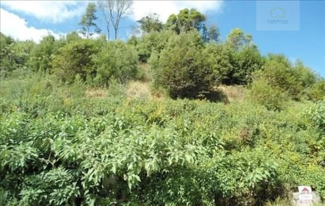 Terreno para Venda em Terra Chã Foto 3