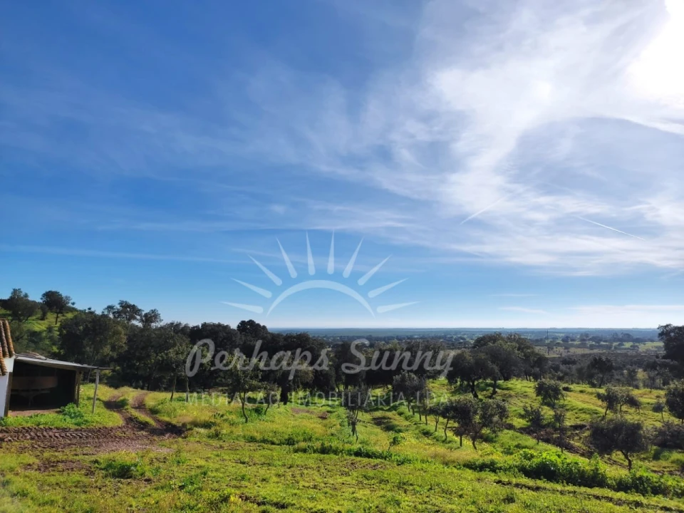 Terreno para Venda em Azinheira dos Barros e São Mamede do Sádão Foto 2