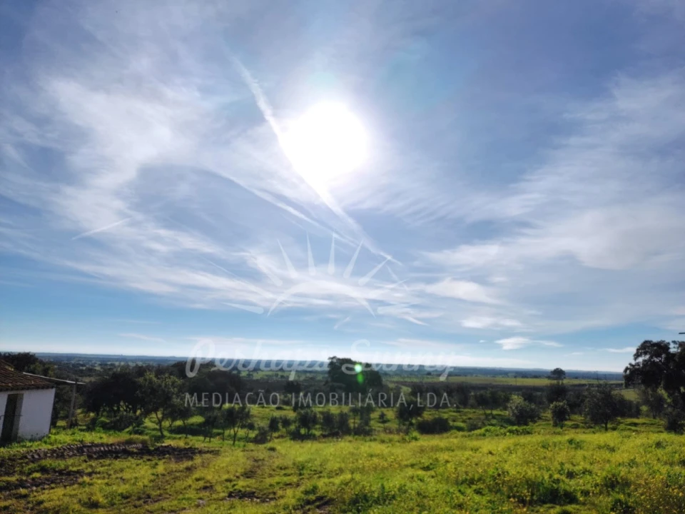 Terreno para Venda em Azinheira dos Barros e São Mamede do Sádão Foto 8