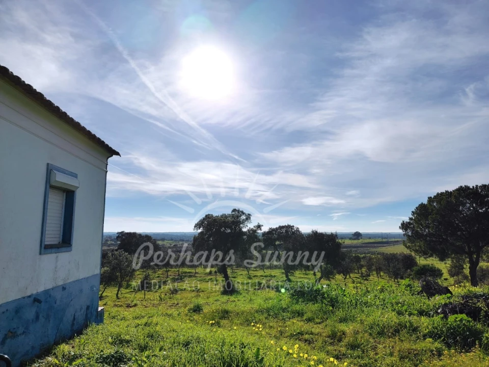 Terreno para Venda em Azinheira dos Barros e São Mamede do Sádão Foto 11