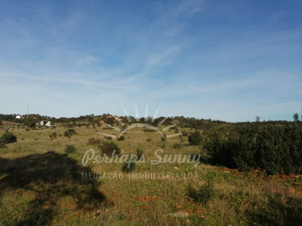 Terreno para Venda em Azinheira dos Barros e São Mamede do Sádão Foto 13