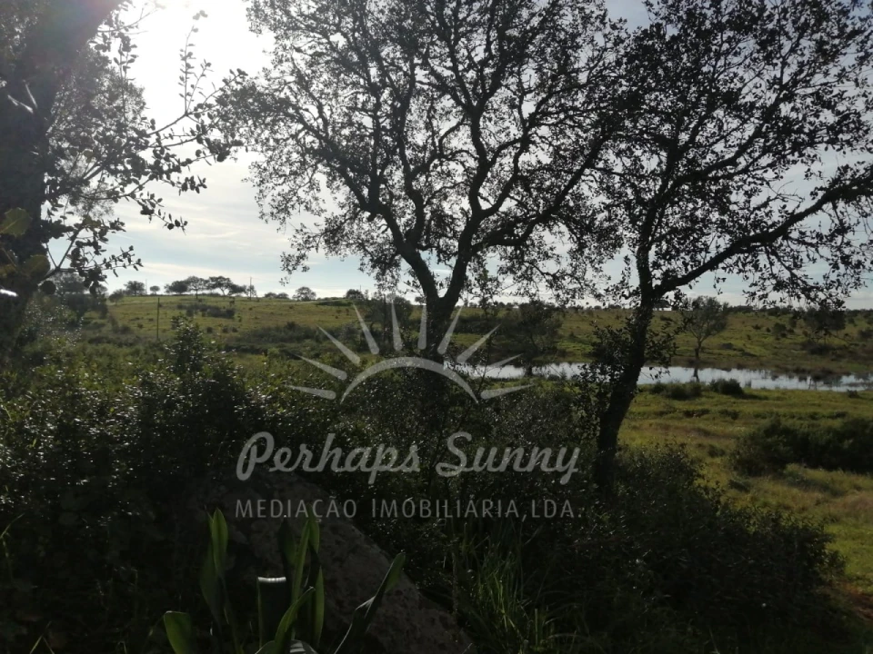 Terreno para Venda em Azinheira dos Barros e São Mamede do Sádão Foto 15