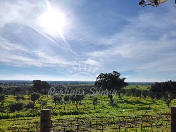 Terreno para Venda em Azinheira dos Barros e São Mamede do Sádão Foto 6