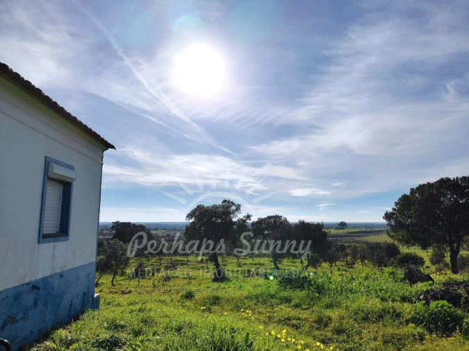 Terreno para Venda em Azinheira dos Barros e São Mamede do Sádão Foto 11