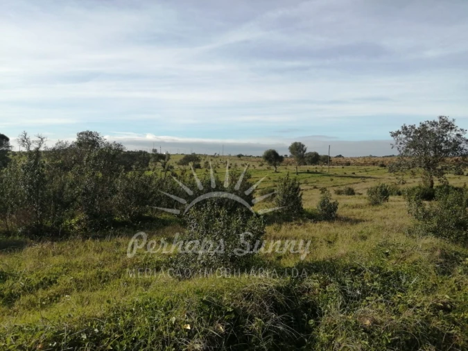 Terreno para Venda em Azinheira dos Barros e São Mamede do Sádão Foto 14