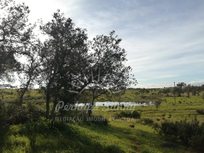 Terreno para Venda em Azinheira dos Barros e São Mamede do Sádão Foto 16