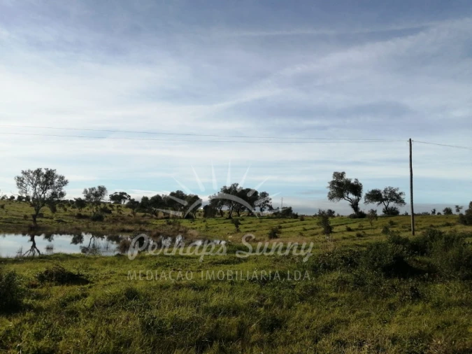 Terreno para Venda em Azinheira dos Barros e São Mamede do Sádão Foto 4