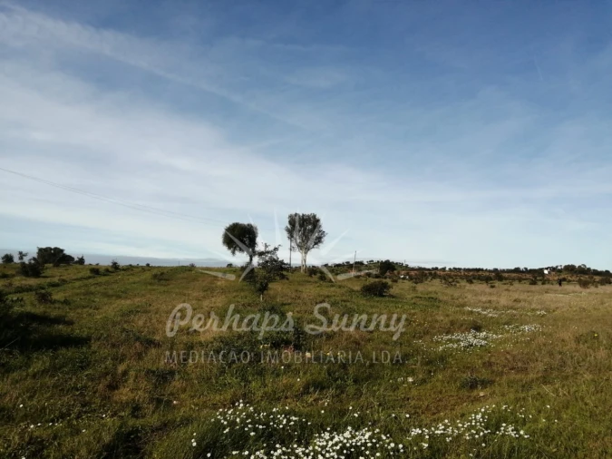 Terreno para Venda em Azinheira dos Barros e São Mamede do Sádão Foto 17