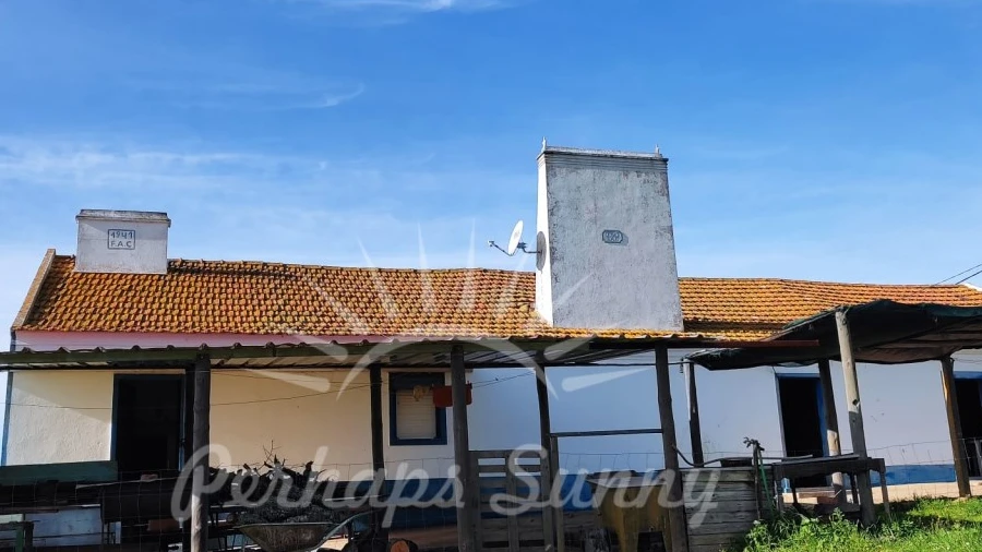 Terreno para Venda em Azinheira dos Barros e São Mamede do Sádão