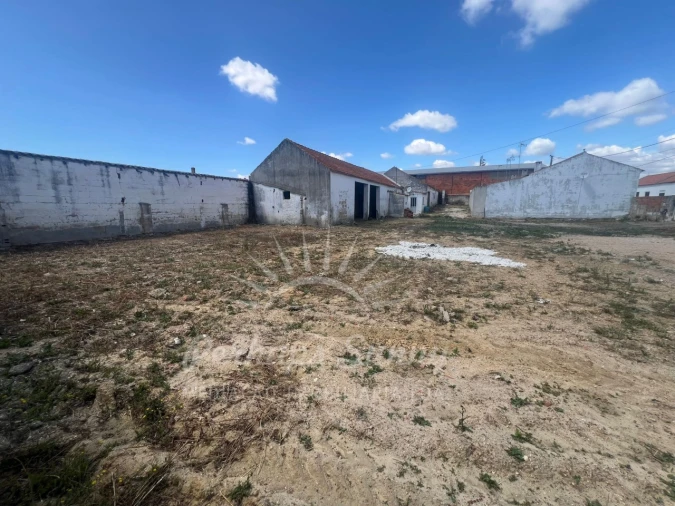 Terreno para Venda em Ermidas-Sado Foto 11