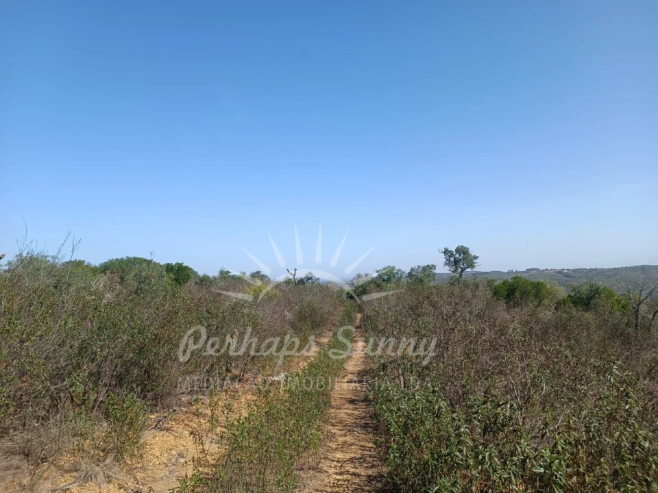 Terreno para Venda em Grândola e Santa Margarida da Serra Foto 1