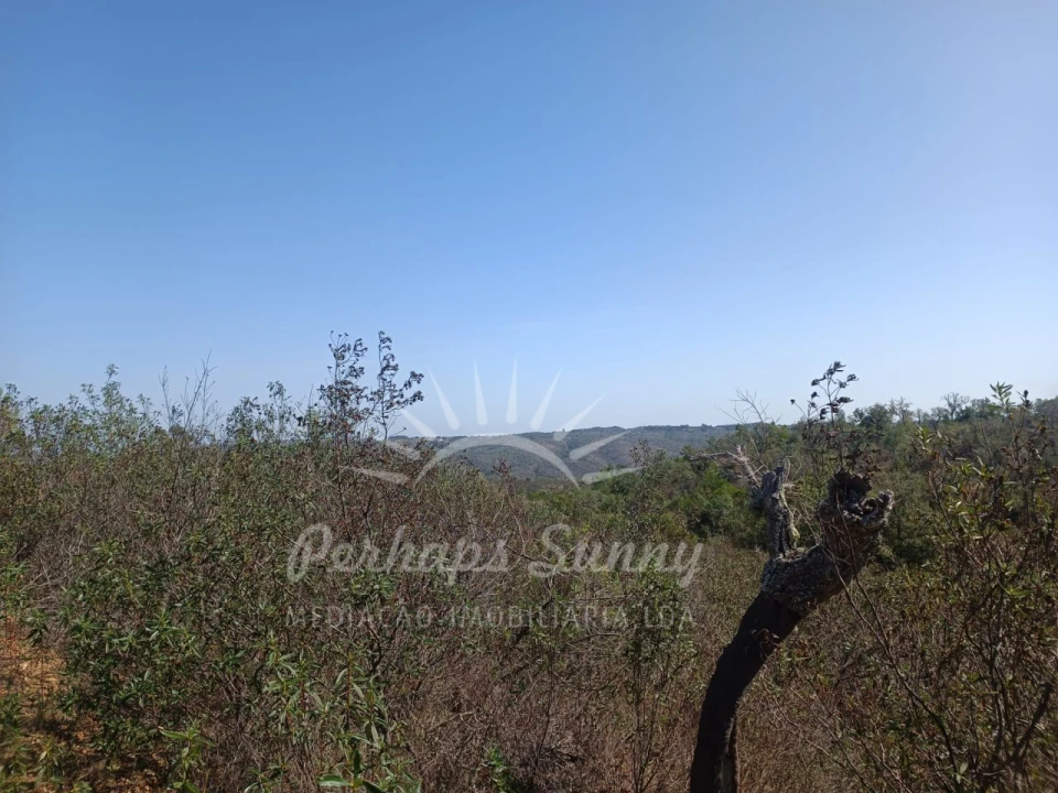 Terreno para Venda em Grândola e Santa Margarida da Serra Foto 2
