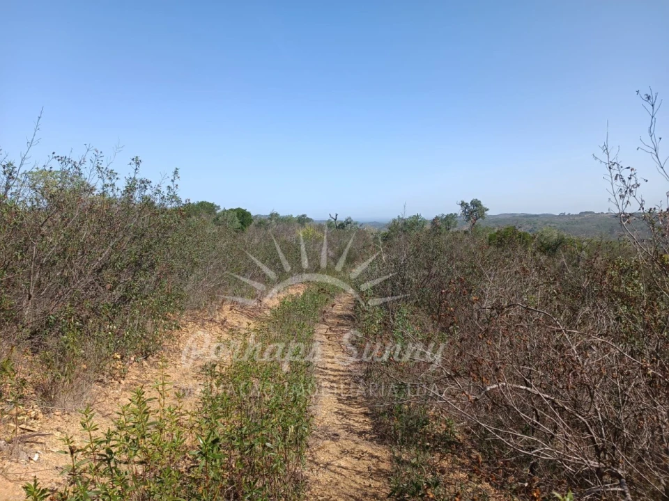 Terreno para Venda em Grândola e Santa Margarida da Serra Foto 4