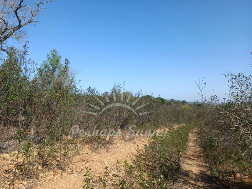 Terreno para Venda em Grândola e Santa Margarida da Serra Foto 5