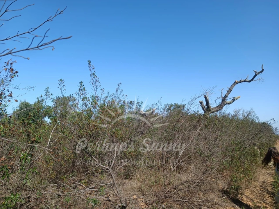 Terreno para Venda em Grândola e Santa Margarida da Serra Foto 9