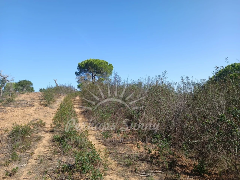 Terreno para Venda em Grândola e Santa Margarida da Serra Foto 10