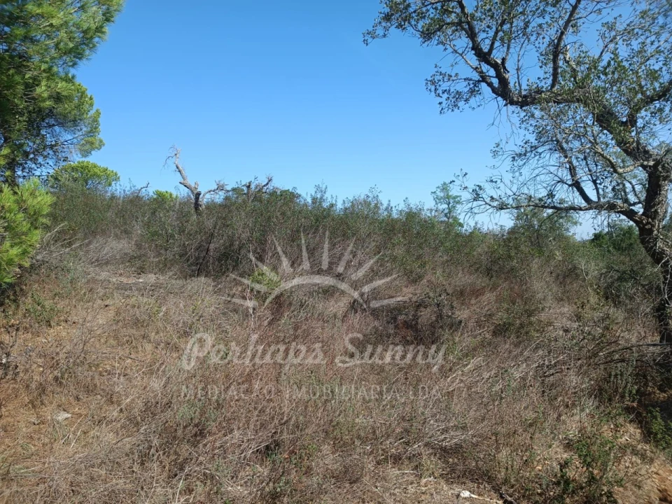 Terreno para Venda em Grândola e Santa Margarida da Serra Foto 12