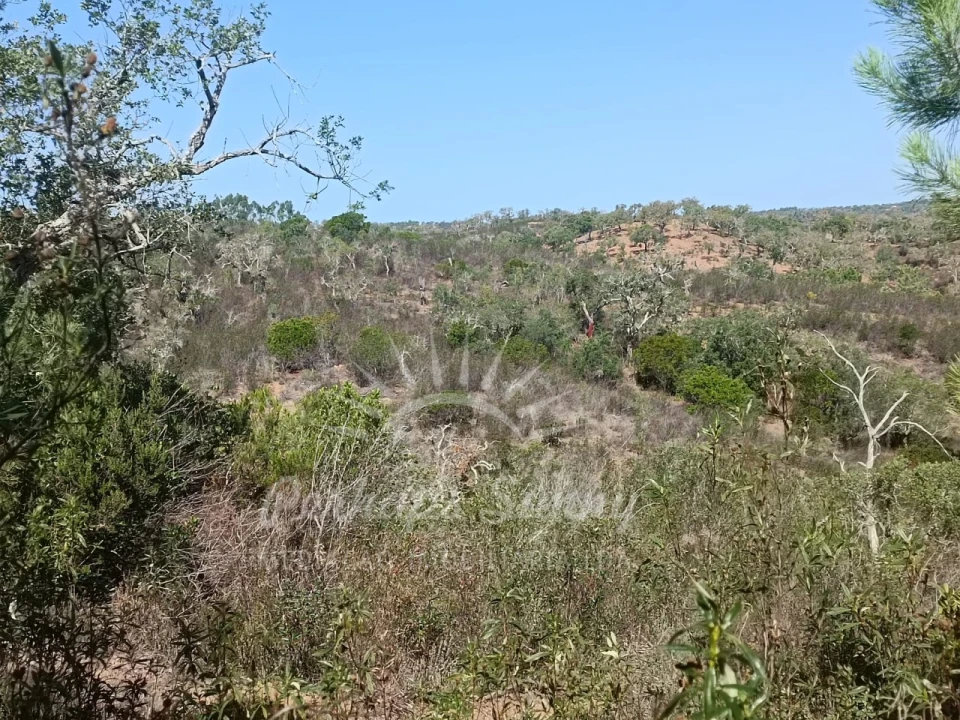 Terreno para Venda em Grândola e Santa Margarida da Serra Foto 13