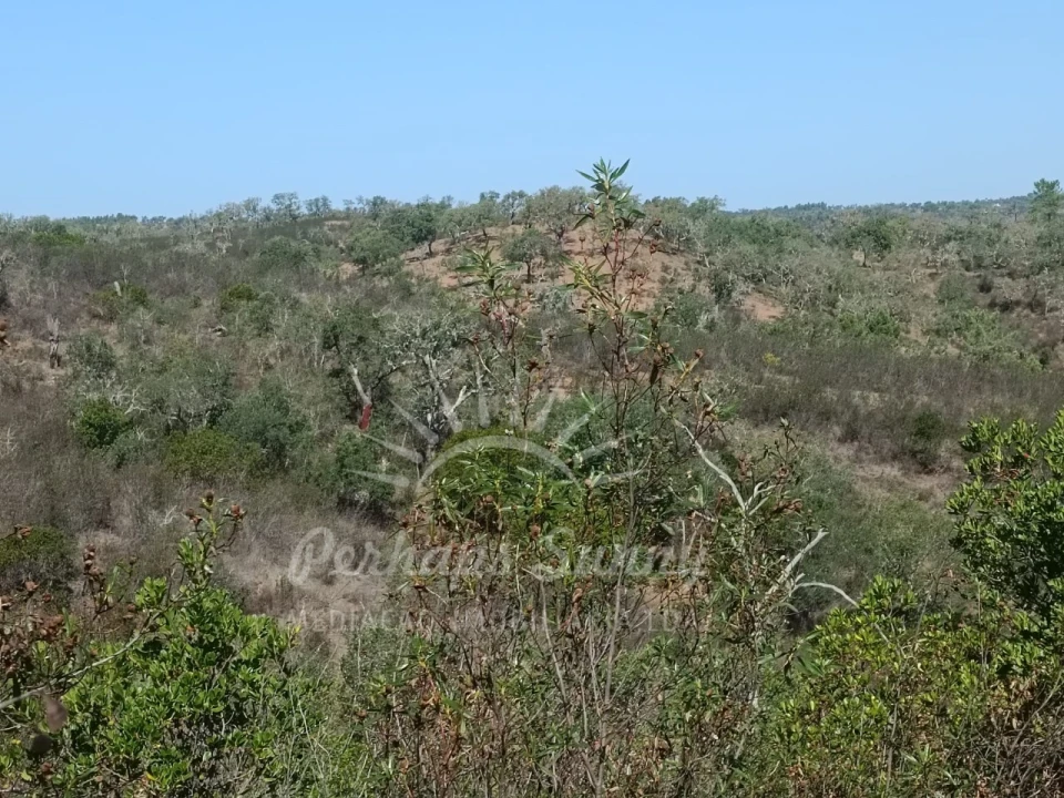 Terreno para Venda em Grândola e Santa Margarida da Serra Foto 14