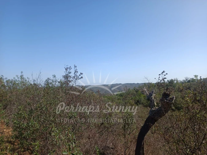 Terreno para Venda em Grândola e Santa Margarida da Serra Foto 2