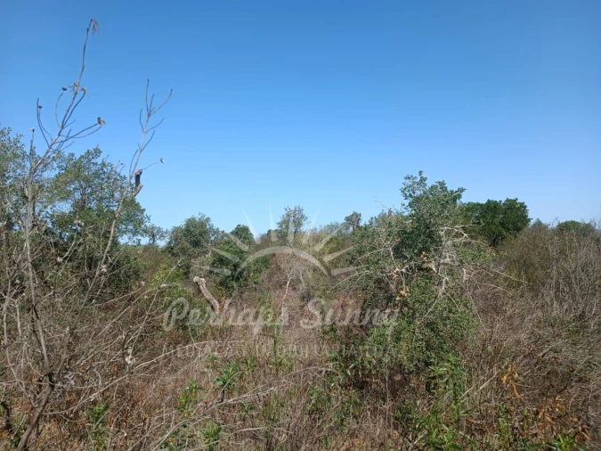 Terreno para Venda em Grândola e Santa Margarida da Serra Foto 3