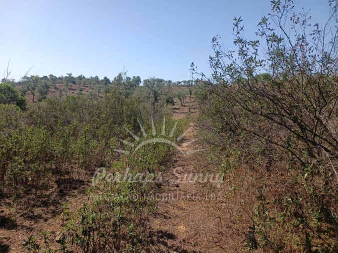 Terreno para Venda em Grândola e Santa Margarida da Serra Foto 7