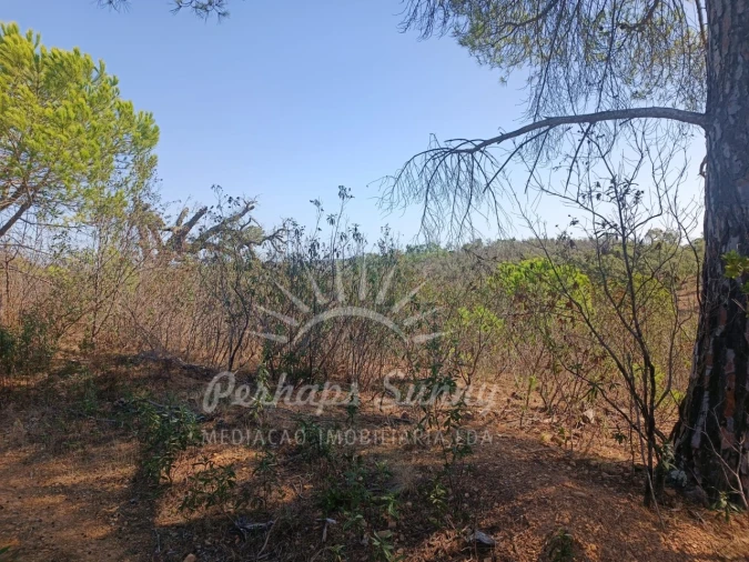 Terreno para Venda em Grândola e Santa Margarida da Serra Foto 8