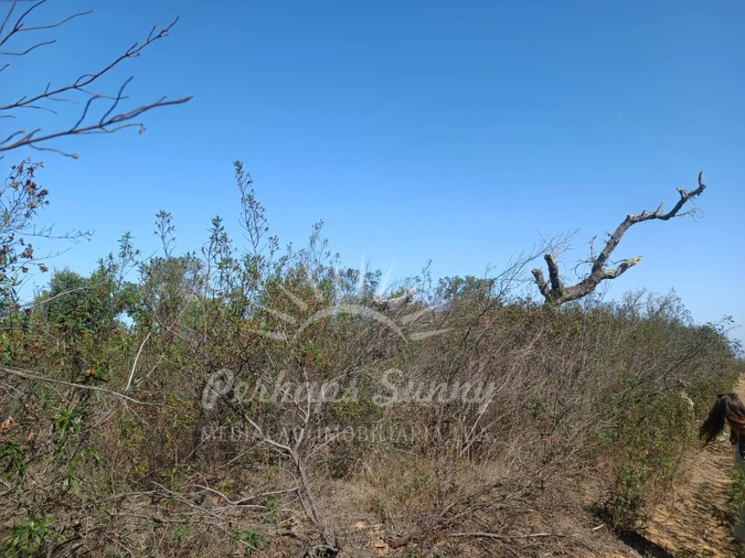 Terreno para Venda em Grândola e Santa Margarida da Serra Foto 9