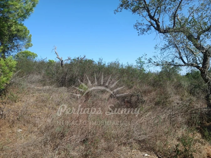 Terreno para Venda em Grândola e Santa Margarida da Serra Foto 12