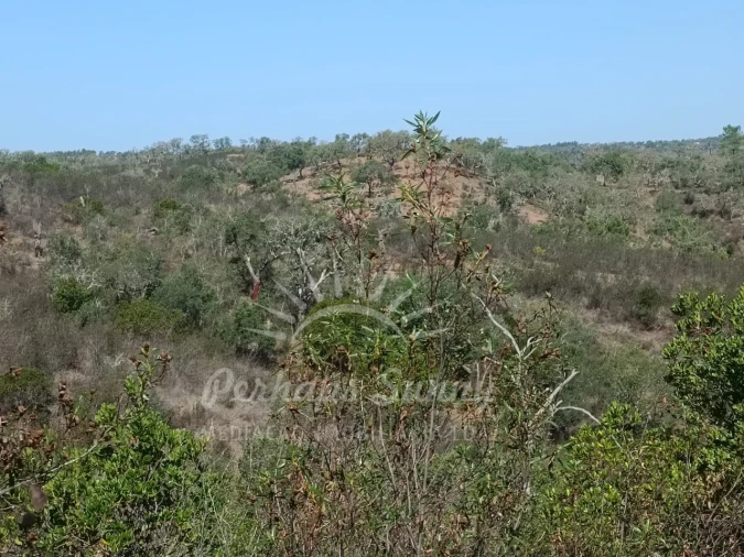 Terreno para Venda em Grândola e Santa Margarida da Serra Foto 14