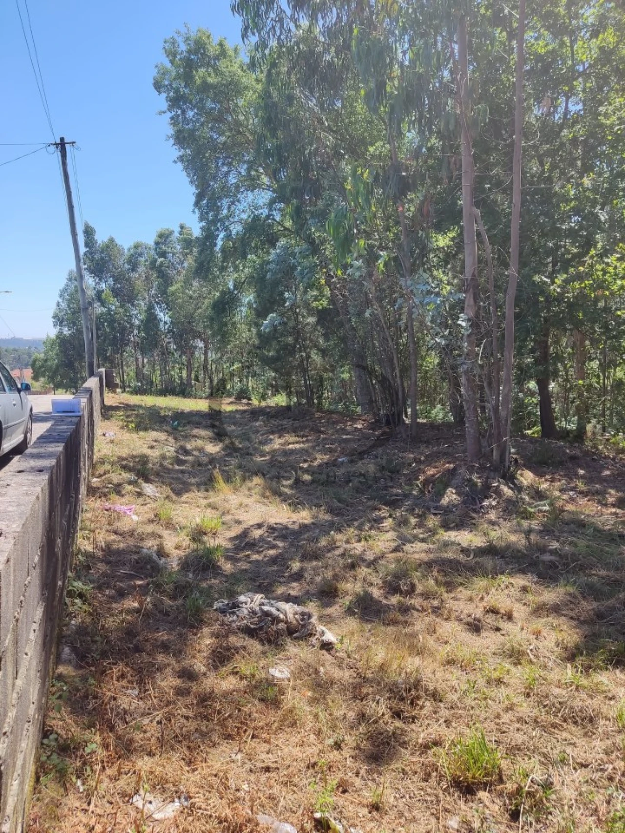 Terreno para Venda em Milheiros de Poiares Foto 5