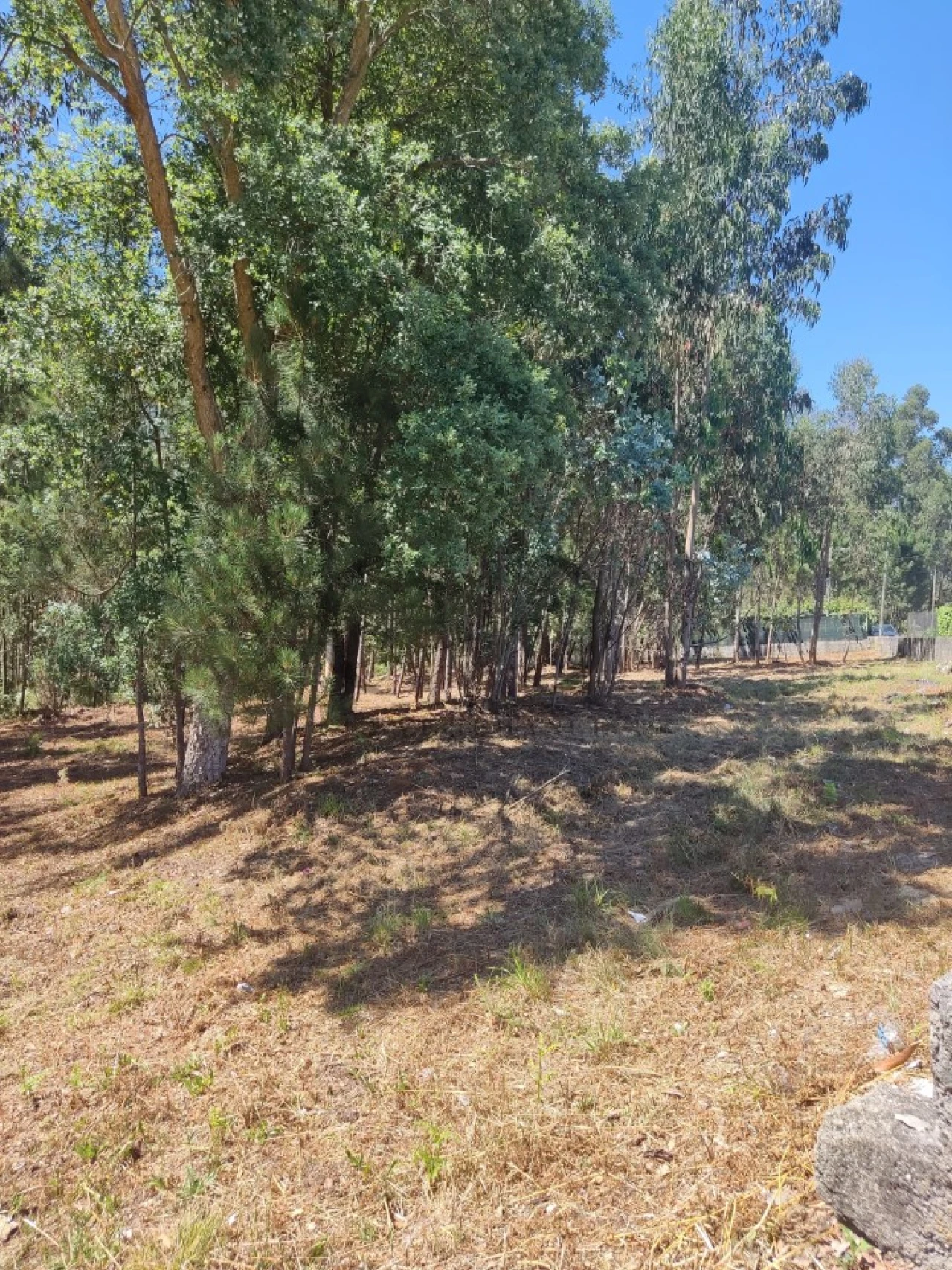 Terreno para Venda em Milheiros de Poiares Foto 6
