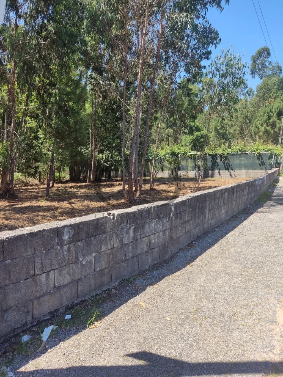Terreno para Venda em Milheiros de Poiares Foto 2