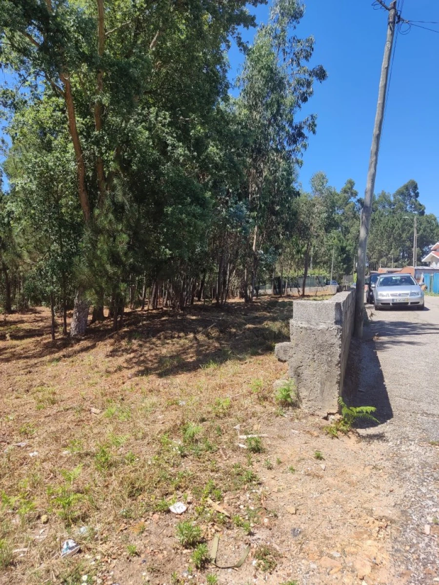 Terreno para Venda em Milheiros de Poiares Foto 3