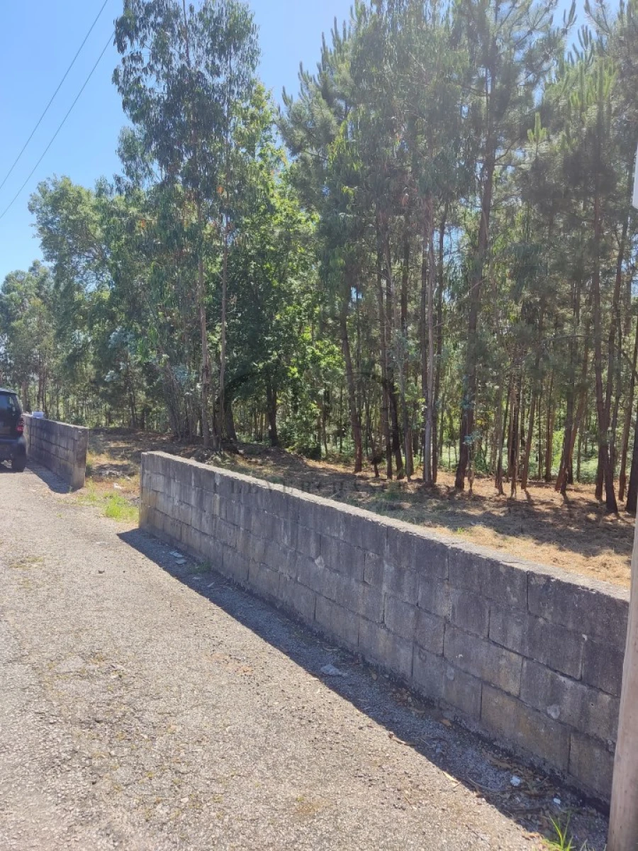 Terreno para Venda em Milheiros de Poiares Foto 4